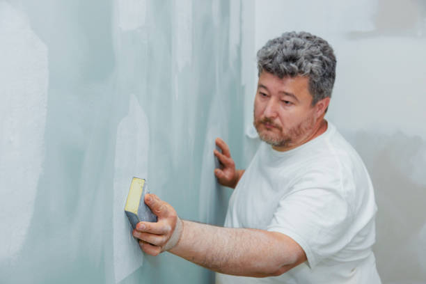 Best Water-Damaged Drywall Repair  in Rolling Meadows, IL